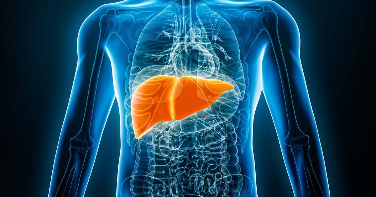 A high-tech transparent image of the human body with organs and skeleton visible. Liver is the most prominant organ represented in a vibrant color.